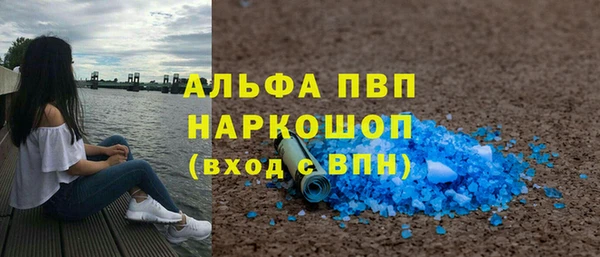 спайс Ладушкин