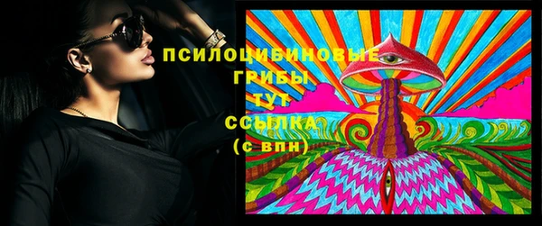 индика Лагань