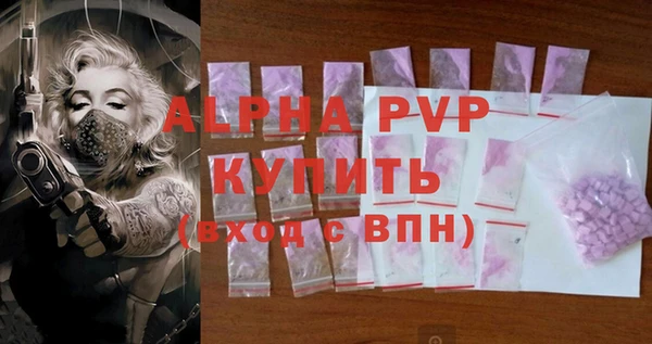 спайс Ладушкин