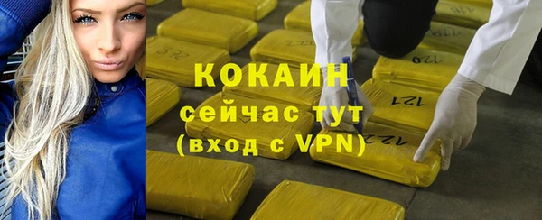 спайс Ладушкин