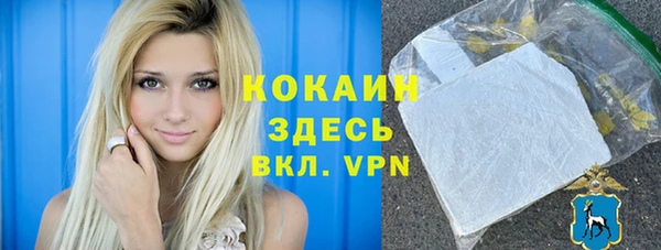 индика Лагань