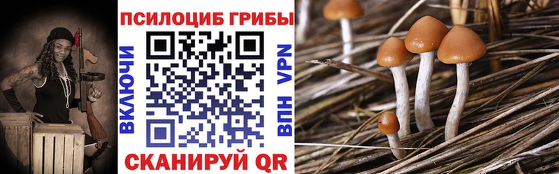 Псилоцибиновые грибы мицелий  Советская Гавань 