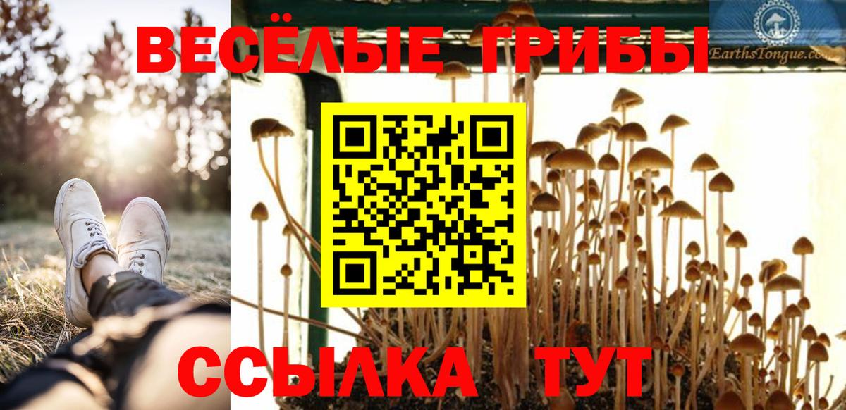 Советская Гавань  Галлюциногенные грибы мицелий  Вход с VPN  Галлюциногенные грибы прущие грибы 