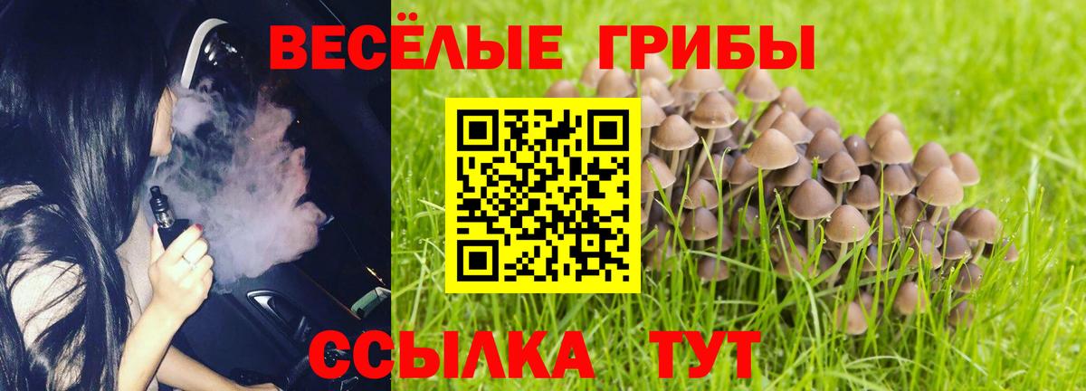 Псилоцибиновые грибы мицелий Советская Гавань